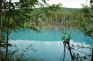 青い池