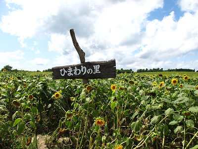 富良野・美瑛・トマム 065