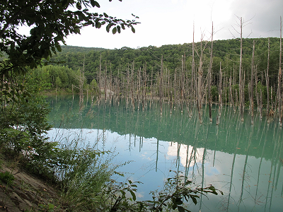 青い池