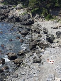 IMG_8257 IMG_8257
